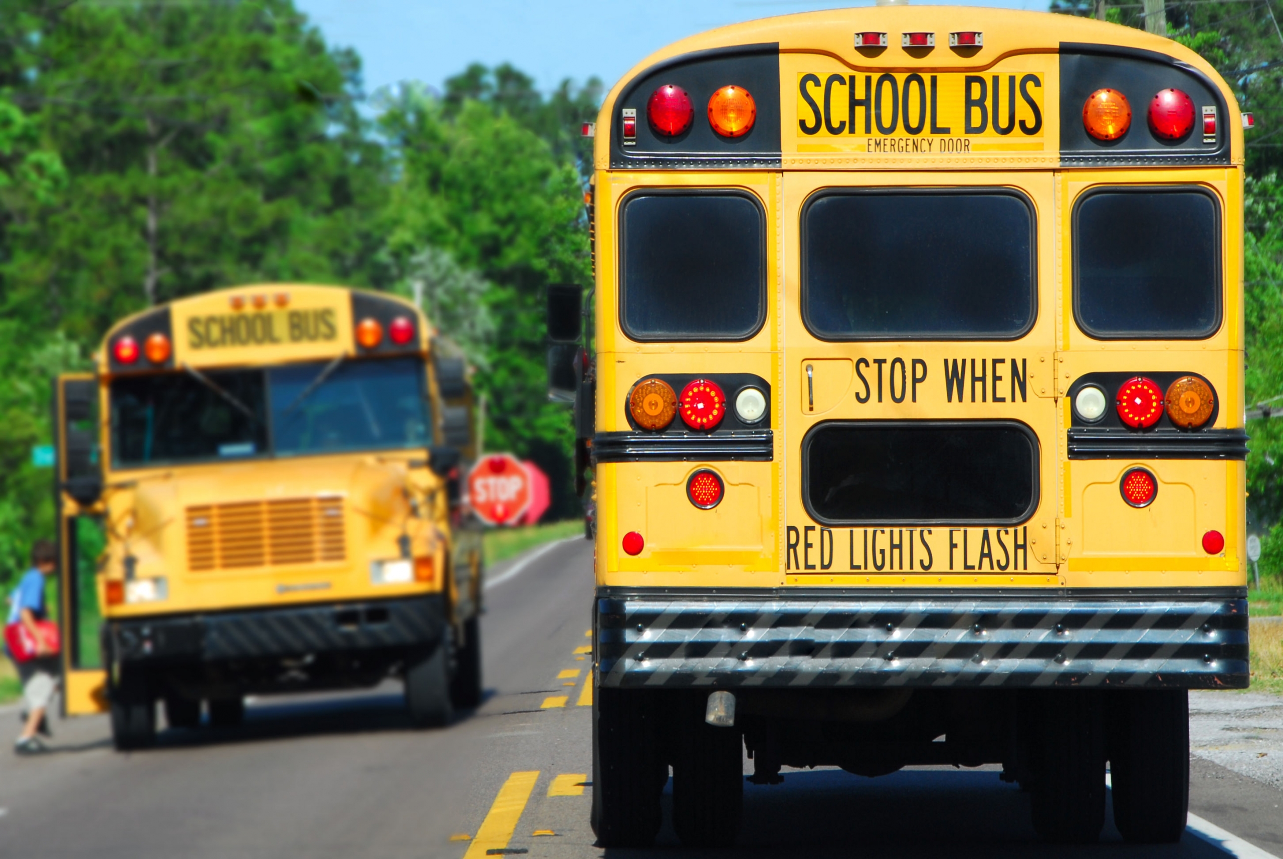 two school buses on a residential street