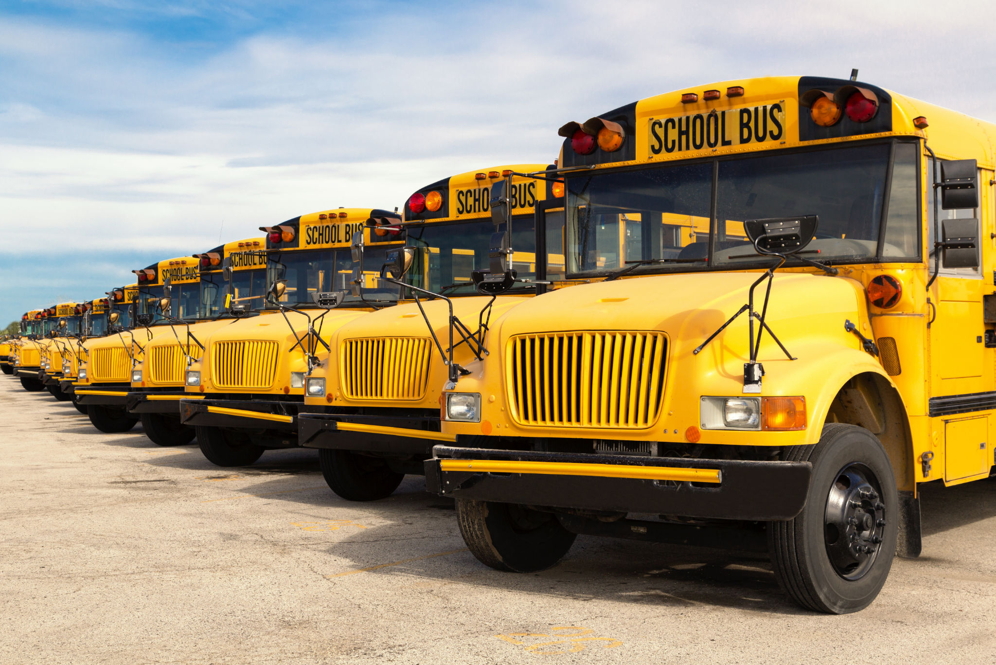 a row of school buses