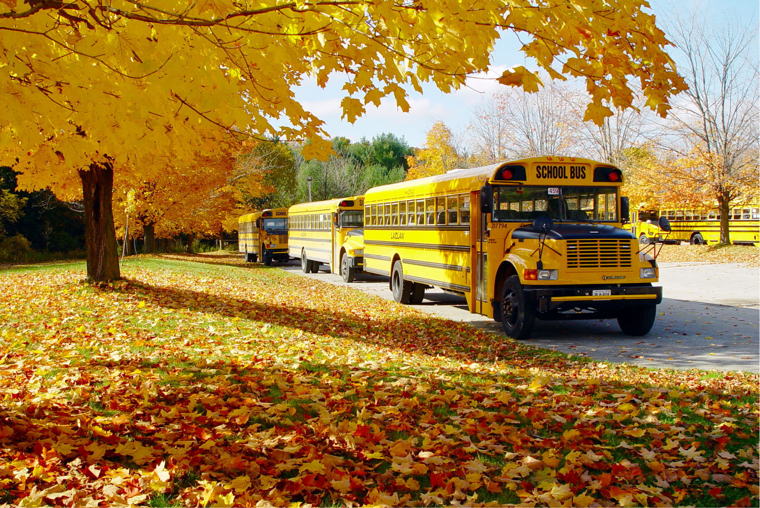 Winterization Musts for Western Canada School Buses