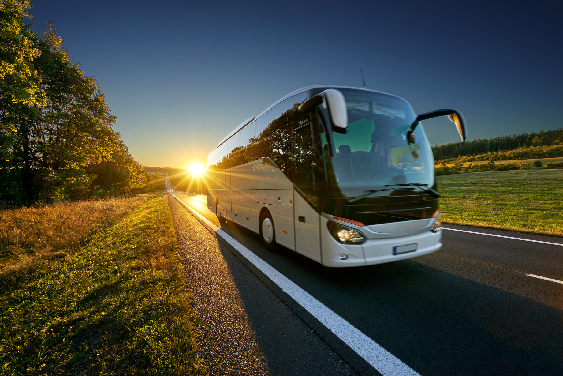 Tips for Choosing the Right Brand of Bus