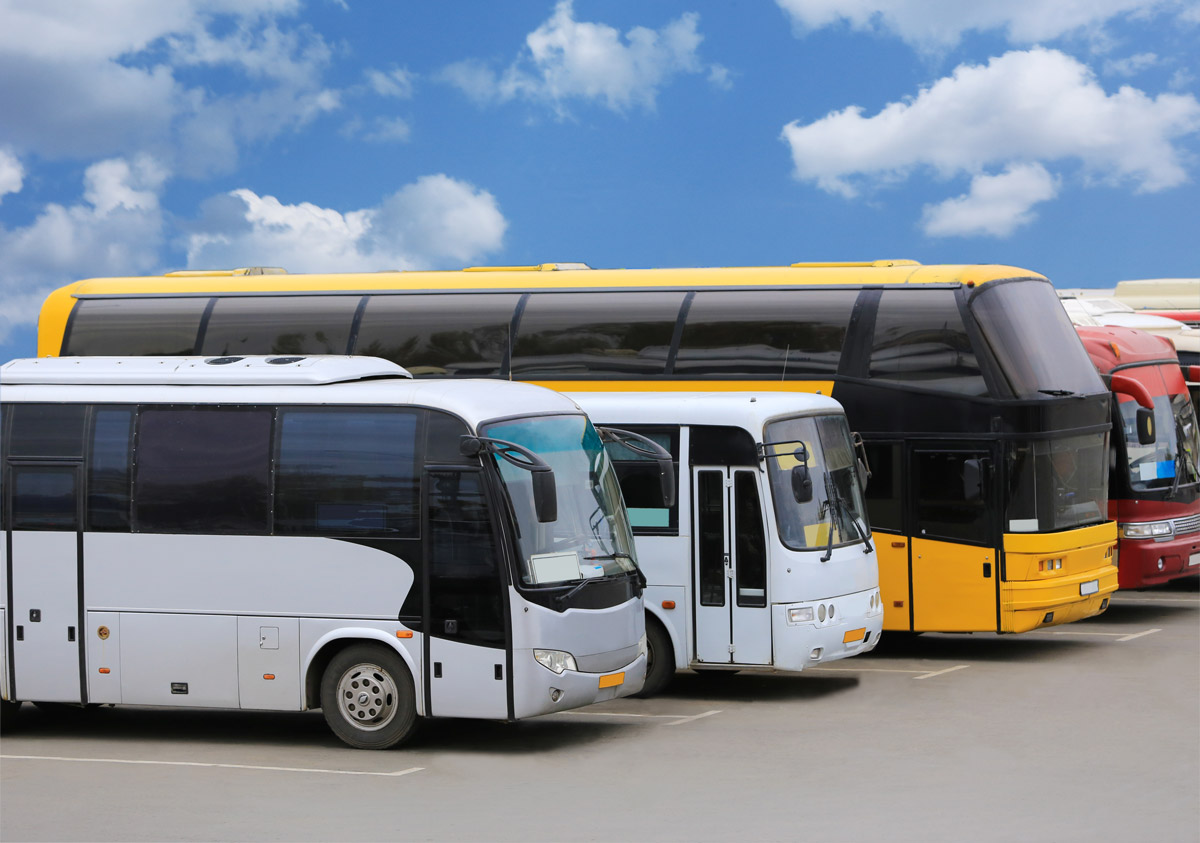 An Overview of Bus Types and Their Uses