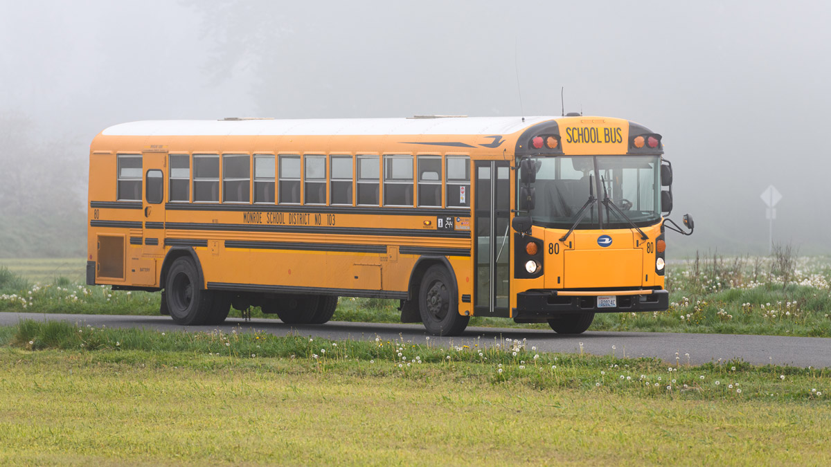 Why Choose Blue Bird School Buses?